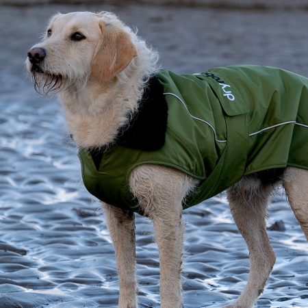 dog-robe-forest-green-7